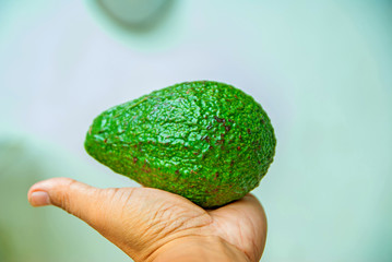 Avocado, Avocado from Thailand country