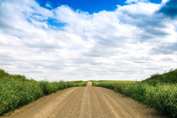 a long dirt road in rural North Dakota with a bright blue sky with clouds in the horizon