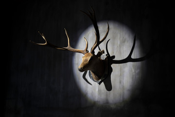 Animal deer head ornament. Chinese Oriental deer symbol.