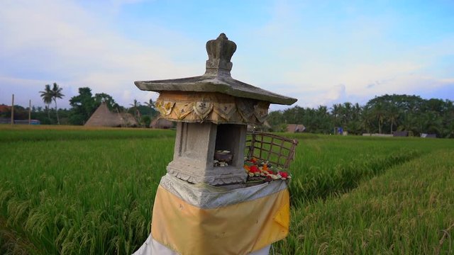 Slowmotion shot of a small field temple or house of spirits on a big rice field on Bali island