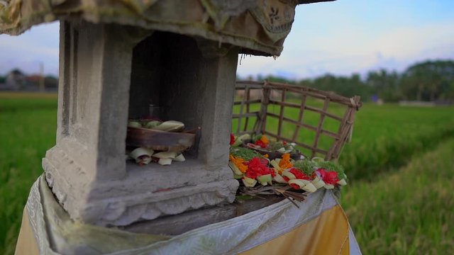 Slowmotion shot of a small field temple or house of spirits on a big rice field on Bali island