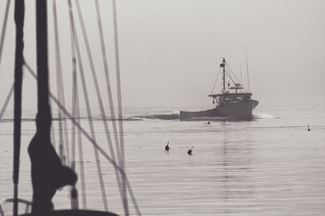 Commercial Lobster Boat Through Morning Mist Maine