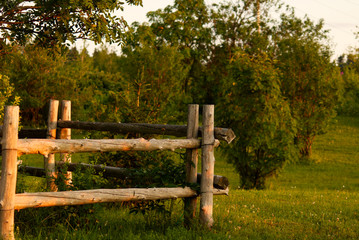 Wooden fence ina field surrounded by trees
