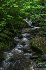Mountain stream and small waterfall 