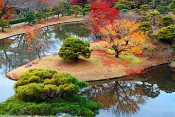 Naklejka premium Autumn scenery of a beautiful, free entry and public traditional Japanese garden in Kyoto, Japan, with an aerial view of colorful maple trees by the lake and reflections on the peaceful water