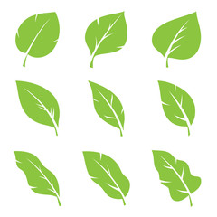 Leaves icon set. Leaf vector design for logo and nature brand identity.
