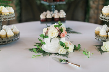 Small white wedding cake with fresh peonies on top, wedding dessert table