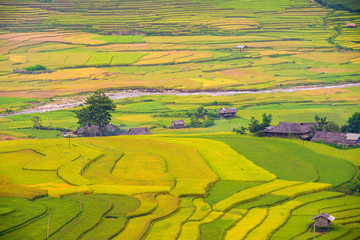 Fototapeta premium Beautiful rice paddy fields with hut prepare the harvest on terraced of Mu Cang Chai district Yen Bai province Northwest Vietnam.