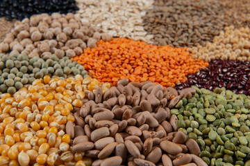 Fiber source examples