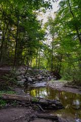 Sunset at the beach and woods in Barrie Ontario Canada with lake view, river, trees, stone formation, and light