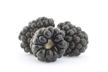 Blackberry berry closeup