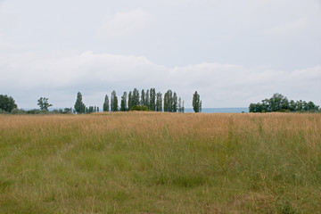 Landscape shot in the national park Neusiedler See in Illmitz Burgenland