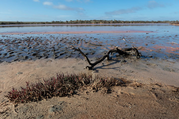 Pink Lake at Murray Sunset National Park, Victoria, Australia