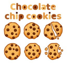 vector set of chocolate chip cookies