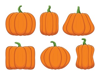 vector set of ripe orange pumpkins