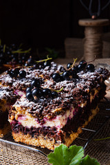 Polish cake from tin with fruit and sprinkles