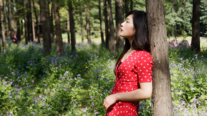 Portrait of beautiful young brunette woman in red dress leaning against tree in forest park in sunny summer day. Outdoor fashion portrait of glamour Chinese stylish lady. Beauty, lifestyle Concept.