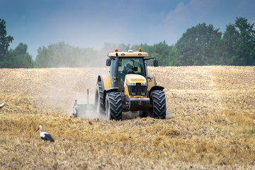 Tractor cultivating the field