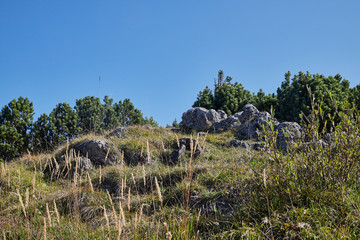 Stone tops of mountains with green trees