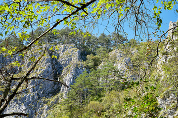 Stone tops of mountains with green trees