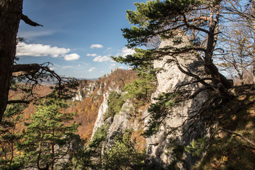 autumn Sulovske skaly mountains with rocks, colorful forest and blue sky with few clouds in Slovakia