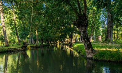 Marais-Poitevin.