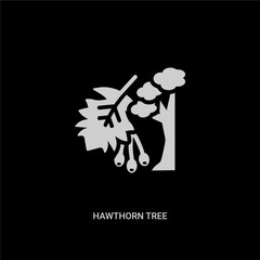 white hawthorn tree vector icon on black background. modern flat hawthorn tree from nature concept vector sign symbol can be use for web, mobile and logo.