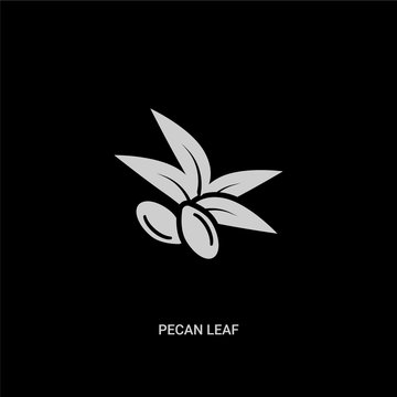 white pecan leaf vector icon on black background. modern flat pecan leaf from nature concept vector sign symbol can be use for web, mobile and logo.