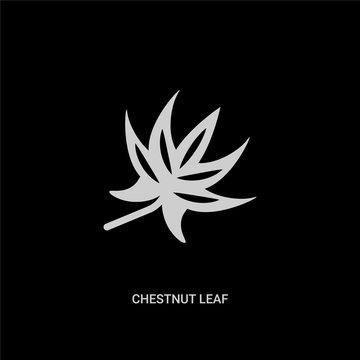white chestnut leaf vector icon on black background. modern flat chestnut leaf from nature concept vector sign symbol can be use for web, mobile and logo.