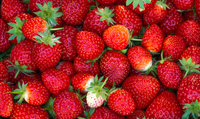 Strawberries pattern, berry fruit