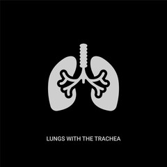 white lungs with the trachea vector icon on black background. modern flat lungs with the trachea from human body parts concept vector sign symbol can be use for web, mobile and logo.