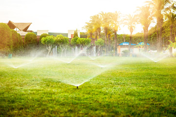 Modern sprinkler working on grass and lawn irrigation. Multiple sprinkler system watering the lawn - obrazy, fototapety, plakaty