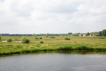 Fototapeta na wymiar View of nature reserve 'Bossche Broek' in the Dommel valley, close to the city center of Den Bosch.