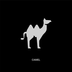 white camel vector icon on black background. modern flat camel from animals concept vector sign symbol can be use for web, mobile and logo.