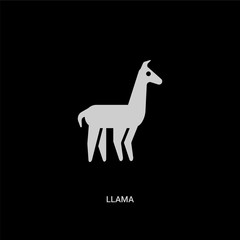 white llama vector icon on black background. modern flat llama from animals concept vector sign symbol can be use for web, mobile and logo.