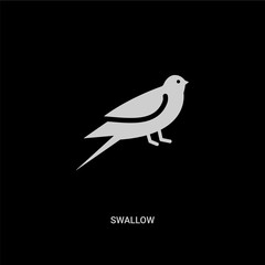 white swallow vector icon on black background. modern flat swallow from animals concept vector sign symbol can be use for web, mobile and logo.