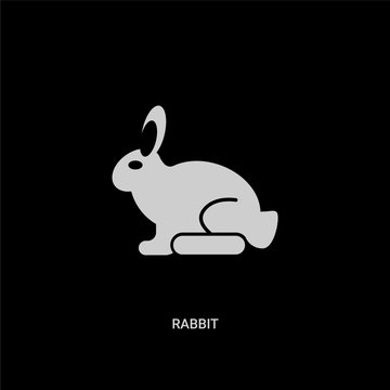 white rabbit vector icon on black background. modern flat rabbit from animals concept vector sign symbol can be use for web, mobile and logo.