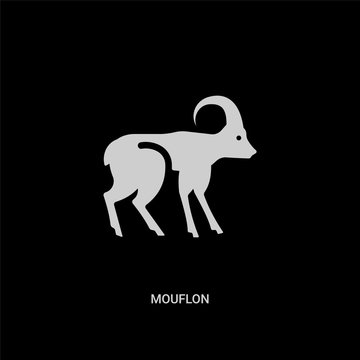 white mouflon vector icon on black background. modern flat mouflon from animals concept vector sign symbol can be use for web, mobile and logo.