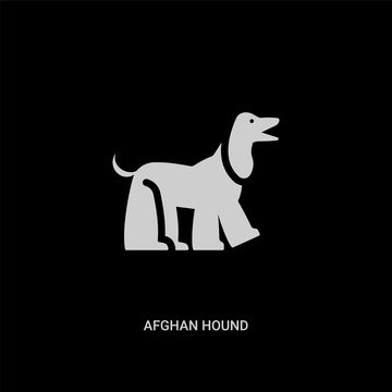 white afghan hound vector icon on black background. modern flat afghan hound from animals concept vector sign symbol can be use for web, mobile and logo.