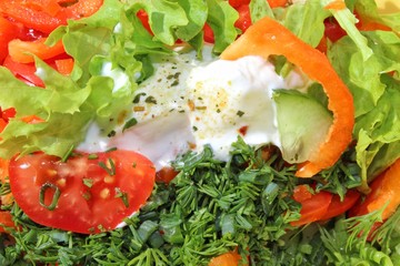 a fresh vegetable salad.