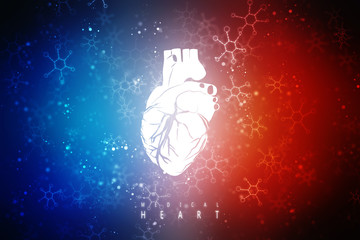 2d illustration  Anatomy of Human Heart 
