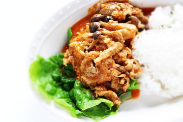 Shimeji mushroom in beef stew served with rice