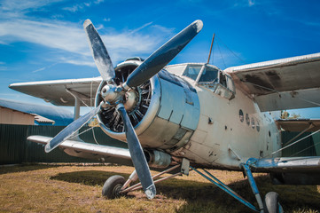 Plane on the grass close up