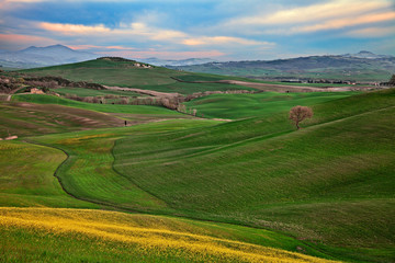 Pienza, Siena, Tuscany, Italy: spring landscape of the Val d'Orcia countryside