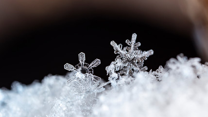 winter photo of snowflakes in the snow