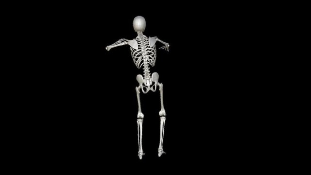 skeleton goes back view, alpha channel