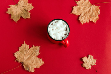 top view autumn maple leaves and cup with marshmallows