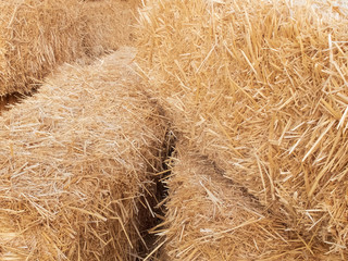 Stacks of dry straw. Piled straw haystacks. Natural dry straw texture background