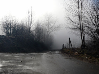 Herbstnebel liegt wie eine decke in den T&auml;lern.