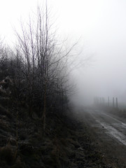 Herbstnebel liegt wie eine decke in den Tälern.